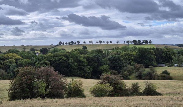 From an earlier walk in the area